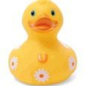 Meet your Posher, Terri